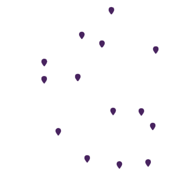 Carte des agences RGIS